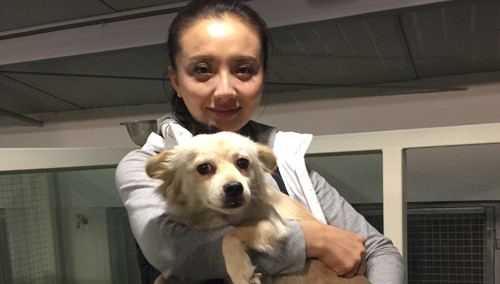 我的纪录片20141216期：孙茜与流浪狗的不解之缘