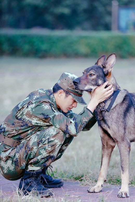 69 论坛 69 影视 69 电视剧 69 湖南卫视《奇兵神犬》姜潮